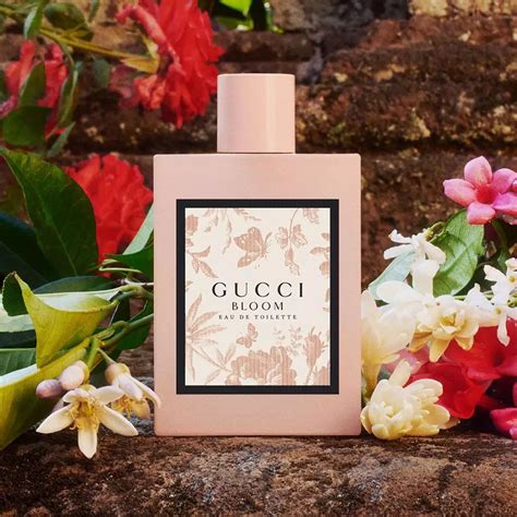 where to buy gucci bloom|gucci bloom perfume smell.